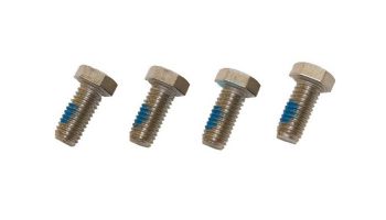 Hayward Super II Motor Cap Screw | 4 Pack | SPX0125Z44