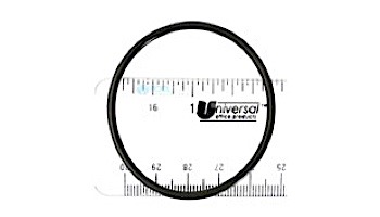 Hayward Metal Reinforced Tank O-Ring | DEX2422Z2