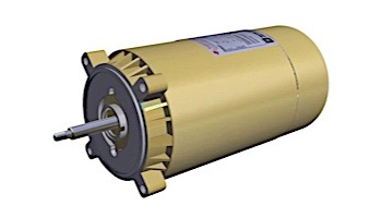 Hayward Threaded Shaft Motor | 115/230V 1.5HP | SPX1610Z1M