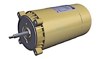 Hayward Threaded Shaft Motor | 115/230V 1.5HP | SPX1610Z1M