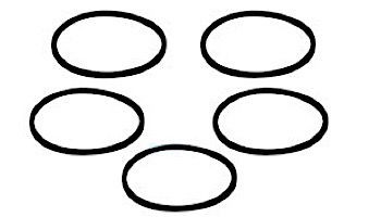 Pentair In-Floor formerly A&A Manufacturing Caretaker Small O-Ring | 5 Pack | 521261