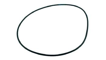 Hayward Seal Plate O-Ring | AX6060S