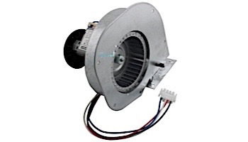 Hayward H-Series Combustion Blower | FDXLBWR1930