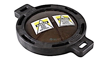 Pentair In-Floor formerly A&A Manufacturing LeafVac Debris Lid Assembly | 540189 | 219200