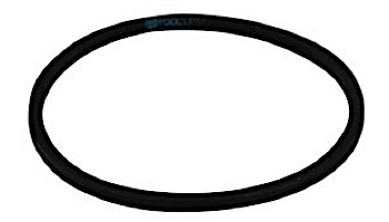 Pentair In-Floor formerly A&A Manufacturing Caretaker Large O-Ring | 516138