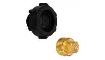 Hayward H-Series Drain Plug | 3/4" NPT Brass | CHXPLG1930