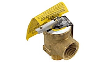 Hayward Relief Valve .75" Male | CHXRLV1930