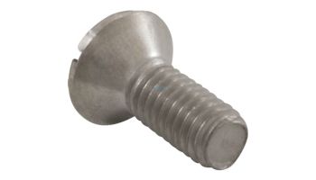 Hayward Cover Retaining Screw | SPX1070Z3