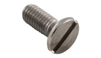 Hayward Cover Retaining Screw | SPX1070Z3