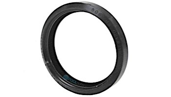 Hayward  AstroLite II Lens Gasket | SPX0590G