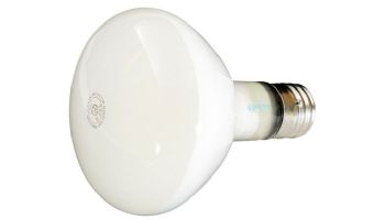 Hayward 	LED Replacement Bulb | 500W 120V R-40 | Mogul Base | SPX0504Z4