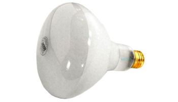 Hayward Replacement Bulb | 500W 120V R-40 Medium Base | SPX0504Z7