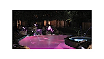Jandy WaterColors COLOR Spa Light Stainless Steel Facering | LED, 12V, 50' Cord | CSLVLEDS50