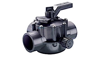 Jandy CPVC 2" - 2-1/2" Positive Seal 2 Port Valve | Gray | 2876