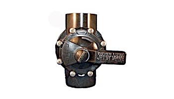 Jandy Pro Series Neverlube 2.5"x3" Positive Seal 2-Port Valve | 4718