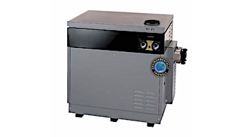 Jandy Hi-E2 ASME Pool Heater | 350,000 BTU Natural Gas | Dual Thermostat | Bronze Headers | Salt Water | EHE350NS