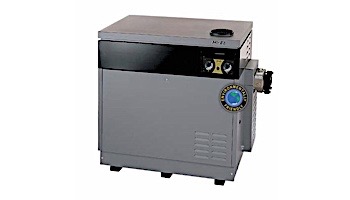 Jandy Hi-E2 Pool Heater | 350,000 BTU Natural Gas | Dual Thermostat | Bronze Headers | EHE350NB