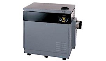 Jandy Hi-E2 Pool Heater | 350,000 BTU Natural Gas | Dual Thermostat | Bronze Headers | EHE350NB