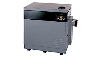 Jandy Hi-E2R Pool Heater | 350,000 BTU Propane | Dual Thermostat | Bronze Headers | EHE350PB