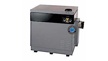Jandy Hi-E2 ASME Pool Heater | 350,000 BTU Propane HSI | Dual Thermostat | Bronze Headers | EHE350PC
