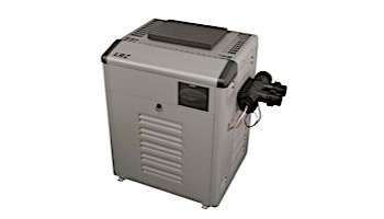 Jandy Legacy LRZ 125K BTU Natural Gas Pool Heater | LRZ125EN