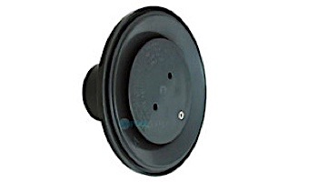 AquaStar 4" Adjustable Floor Return Fitting with Water Stop | Black | 4DIV102