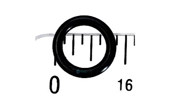 Pentair Booster Pump O-Ring Drain Plug | LA375