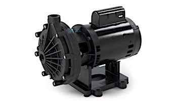 Pentair Letro Universal Booster Pump .75HP | 115V/230V | EC-LA01N