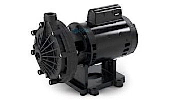 Pentair Letro Universal Booster Pump .75HP | 115V/230V | EC-LA01N