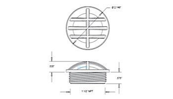 AquaStar 1.5" Safety Grate Insert with 1.5" MPT | Blue | CFM104