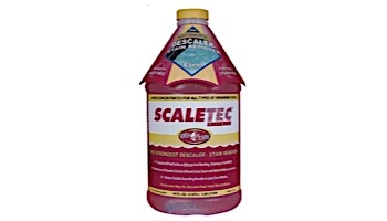 Easy Care Scaletec Plus Pool Surface and Tile Descaler Plus Stain Remover 64 oz  | 20064