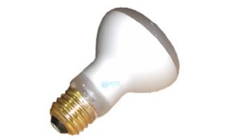 Halco R20 Short Spa Flood Incandescent Lamp | 100W 125V | HP20NFL39/HX