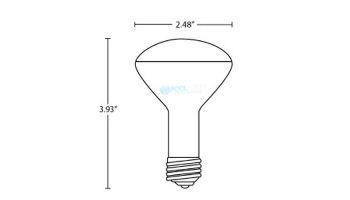 Halco R20 Short Spa Flood Incandescent Lamp | 100W 125V | HP20NFL39/HX
