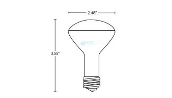 Halco R20 Medium Base Incandescent Lamp | 100W 12V | R20CL100/12V 104020