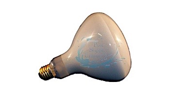 Light Bulb Medium Base 100W 12V R30 | BR30CL100/12V