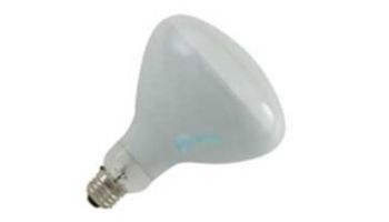 Halco R40 Medium Base Flood Hard Glass Incandescent Lamp | 400W 120V | R40FL400/HG 104038