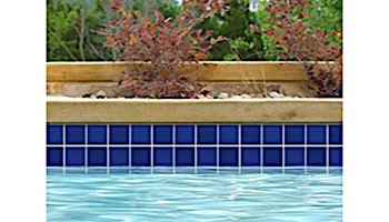 National Pool Tile Marine Field 3x3 Series Pool Tile | Cobalt Blue | M350
