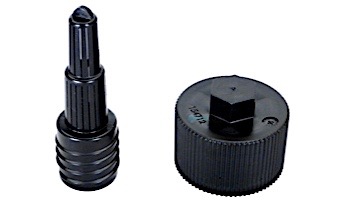 Pentair Drain Plug Assembly | 150055