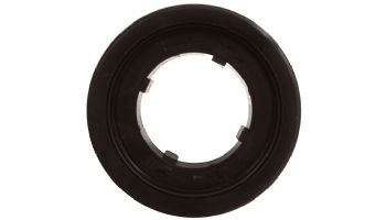 Pentair 2" FNS Plus Bulkhead with O-Ring | 190141