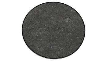 Pentair Gasket Sand Drain Meteor | 154715