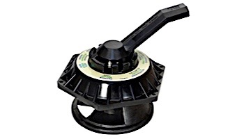 Pentair Hi Flow Top Valve Assembly 1.5" | 272531