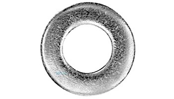 Pentair Large Inner Diameter Washer | 195611