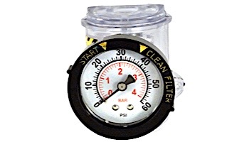 Pentair Clear Manual Air Relief Assembly with Gauge | Triton Commercial Sand Filters | 273564 | 273564Z
