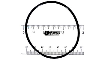 Pentair Upper Bulkhead O-Ring After Nov 98 | 192320