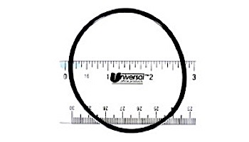 Pentair Bulkhead Fitting Buttress Threaded 2-3/8" FNS Plus - Clean & Clear Plus Tanks | 194801