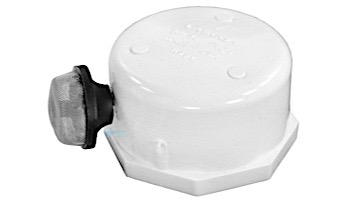 Pentair Cap and Strainer Assembly | 274411
