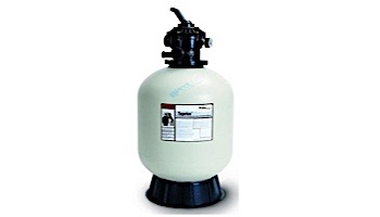 Pentair Tagelus 24" Sand Filter and Valve with ClearPro Technology | TA60 145201