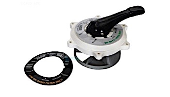 pentair multiport
