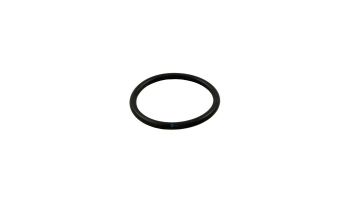 Pentair Sta-Rite Slide Valve Replacement Parts | O-Ring | 273062