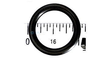 Pentair O-Ring Diverter Shaft | 272511
